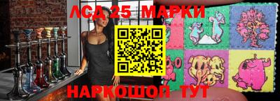 ALPHA PVP Малгобек