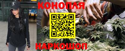 ALPHA PVP Малгобек